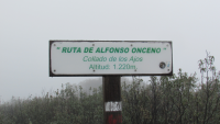 26d97d48f2ec1912453a35aeebd85a5c