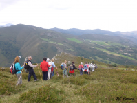 2eea9d1e0ab4ea5557a7eabe2b3fdfad