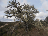 37e87ccbc616be0207af65af55cca89c