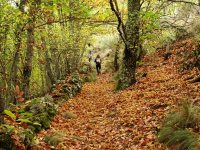 380558c5150689a92c777199ffbc355d