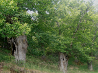 3e5275eee8576d202f1d91db4438c3c2