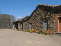 41c5209a9f86a5bb1529261edee0a0b4