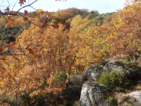 52eae48a720dcec29839f9de4e144076