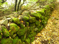 55c91f171bb0a2d21286e7523e73f3f6