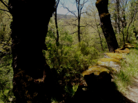 62a88ceee3051791c896c7adfb4327f1