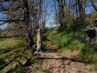 72a652435aa5ee13d591de4b3b6b018f