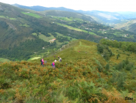 73576172a1c88077049582a6c4b8ef86