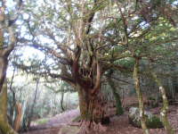 73c4aa825c8b7c94b75a416b991ee1c2