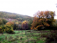 7ca108cbb46c277140c65381a782cf2c