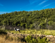 7efe20e86249bdae54fbaf454c2c33d2