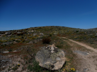 81e38df3da8e7765a024fa55c95ed8d7