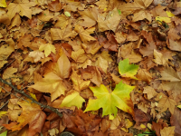 861206cf724197260d148a22b338e3a1