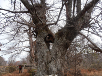 883a2941870c9bb9064775dc07ea0a57