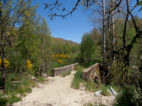 8e54a65c1cd8a0991a8395e29eb2045c