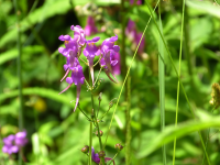 93b2082ddee99b3d1bafd9e323f2418f