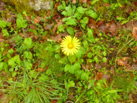 9588a17fdd3d4129be49547fb44f0497