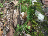 9aa6edbb85e94553e1a29589b6ba38c0