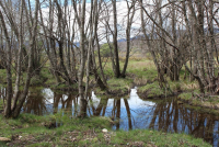 9c2a937dc7e636b1e78eb502907baacc