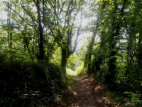 9e9e4c19adbda3dc9341198252b3c18d