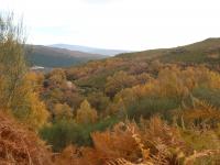 9fbd92b366463fb470cbf37f9f7a5528