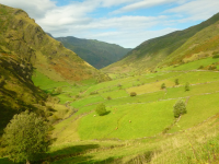 A75ae57e72bac06e497350e18633144a