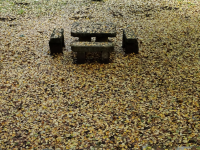 A974cb6a5ac1b2b74db85c8436f24a18