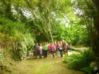 D6645104a9035c6ffb12be7998932d1b