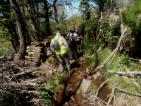 D86d9f7f07648790656648251f41ae6b