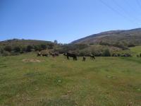 D8968fc687074bb01d309e996b0f0eef