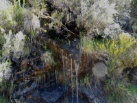 Db877ef1eb278a798f8ace5b3896f931