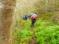 De653f7670a8a376a14d4376b3abe2a6