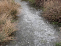 Df2812c1bb0c5d49f3949f6ecd675754