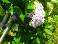 E276c8e597efaa85633ce00916184858