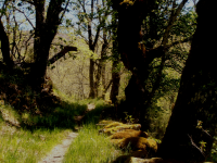 Ea13eeeef92ee3a1a270c39f68aec337