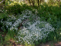 Ea28641e7ea25f072d14663237e8b5bc