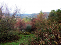 Ef3e77db6535e5d31a1af402f67bb22a