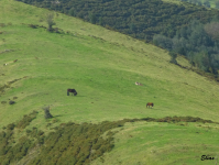 F691932d88cb6e8cebf2e05347643369